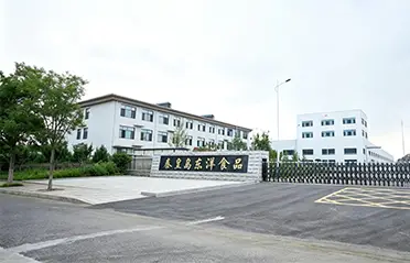 With a 250 million RMB investment and a 40,000㎡ factory, Dongyang Foods has built a strong foundation for high-quality instant noodle production.