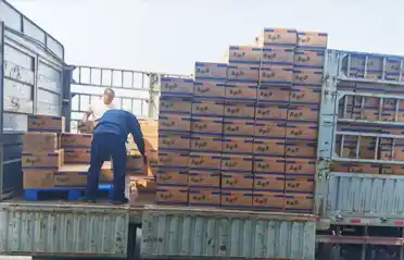 How many checkpoints must a Mala Tang (spicy hot pot) noodle pancake go through before it's loaded onto a truck in Shenyang?