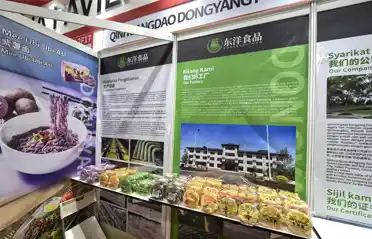 Looking to Source Non-Fried Noodles in Malaysia? Qinhuangdao Dongyang Food Showcases at International Halal Exhibition