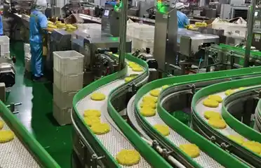 How to Choose Safe Instant Noodle Blocks? A Look Inside the Qinhuangdao Dongyang Food Workshop